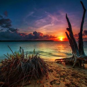 Meet your Posher, Jada